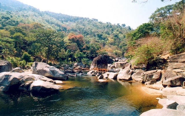 Là khu bảo tồn thiên nhiên lớn nhất Việt Nam, Yok Đôn mang đến cơ hội trekking, đi xe đạp xuyên rừng hay cắm trại giữa thiên nhiên hoang dã. Ảnh Vườn quốc gia Yok Don