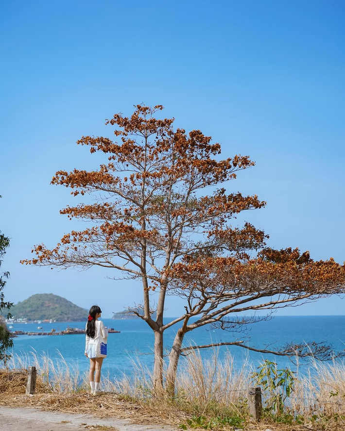 Các bãi nhỏ quanh Hòn Hai Bờ Đập hay Hòn Mấu mang đến cảm giác hoang sơ, yên bình, ít người. Du khách có thể thong dong tản bộ dọc bờ biển, ngắm bình minh hoặc hoàng hôn rực rỡ soi bóng trên mặt nước. Ảnh Phương Tali