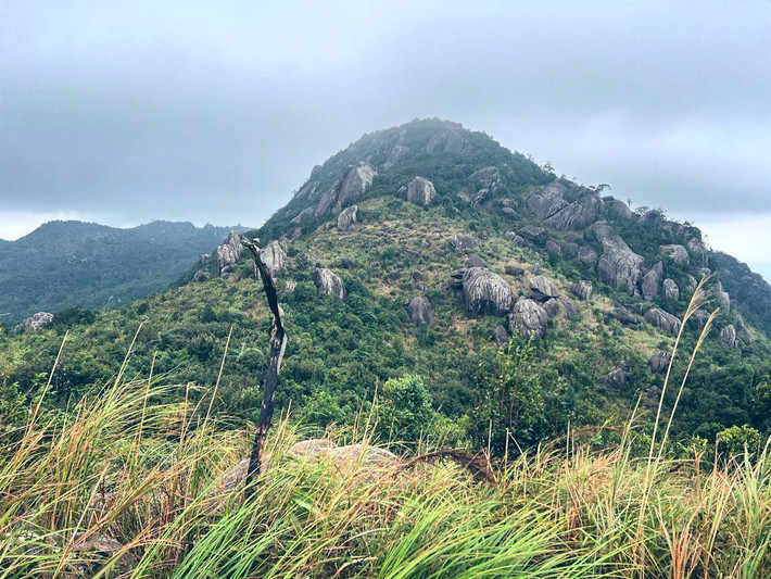“Tôi từng trekking nhiều nơi, nhưng hiếm chỗ nào như Hoàng Ngưu Sơn: vừa gần biển, vừa có rừng nguyên sinh, lại đủ thử thách để mỗi bước chân đều đáng nhớ", chị Tố Như (du khách từ TP HCM) chia sẻ. Ảnh Tố Như
