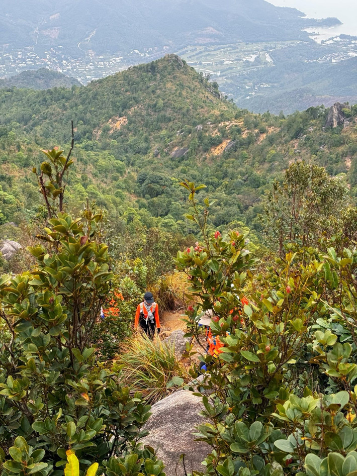 Hành trình trekking bắt đầu từ chân núi, băng qua nhiều dạng địa hình đa dạng: rừng keo rậm rạp, những con suối nhỏ, sườn đá dốc, trảng cỏ cao ngang người. Khi càng lên cao, không khí càng trong lành, mát lạnh, cây cối chuyển dần từ xanh rậm sang thưa thớt, nhường chỗ cho những cụm đá lớn phủ rêu và lau trắng đung đưa trong gió. Ảnh Tố Như
