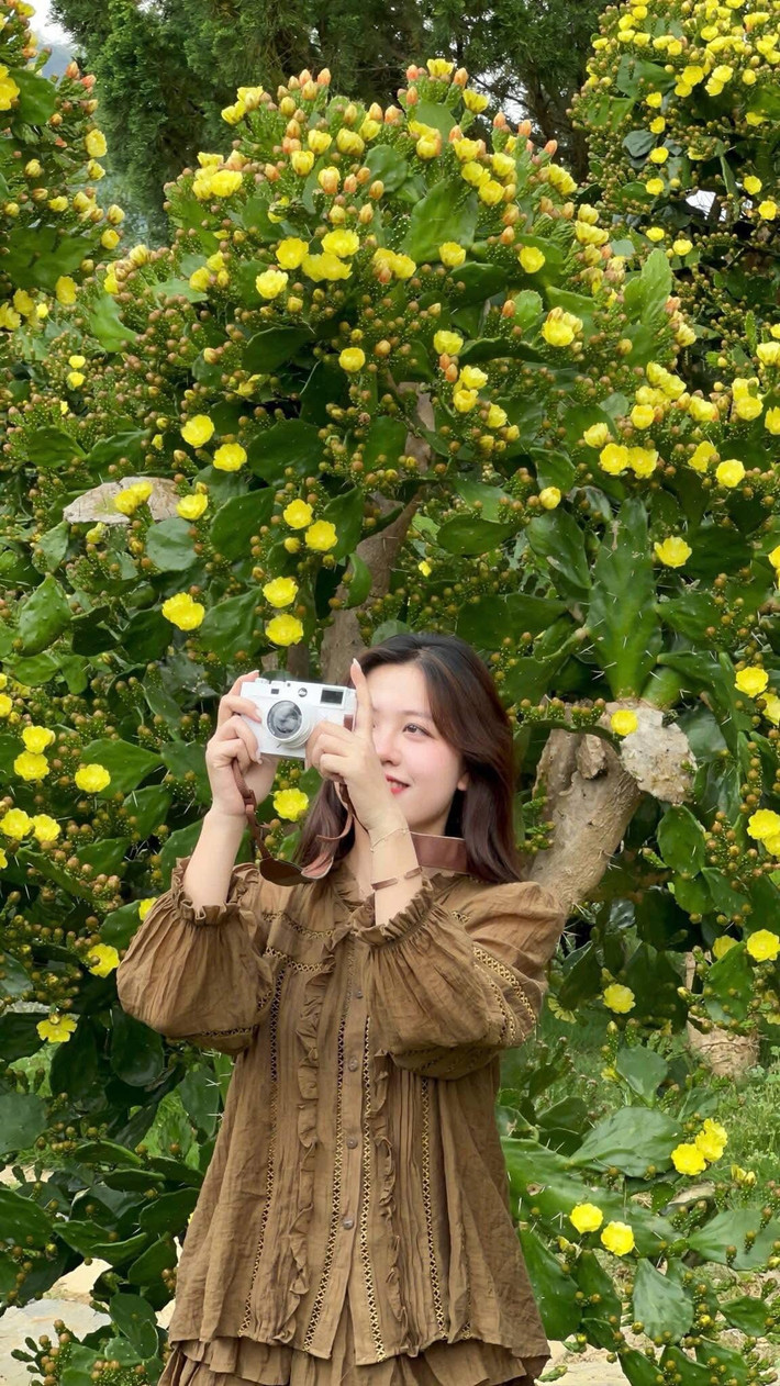 “Không ngờ xương rồng ở đây lại có thể nở đẹp đến vậy. Cảnh quan vừa lạ, vừa lãng mạn, chụp ảnh lên thì cực kỳ ấn tượng,” một du khách từ Hà Nội cho biết. Ảnh Oanh Bùi