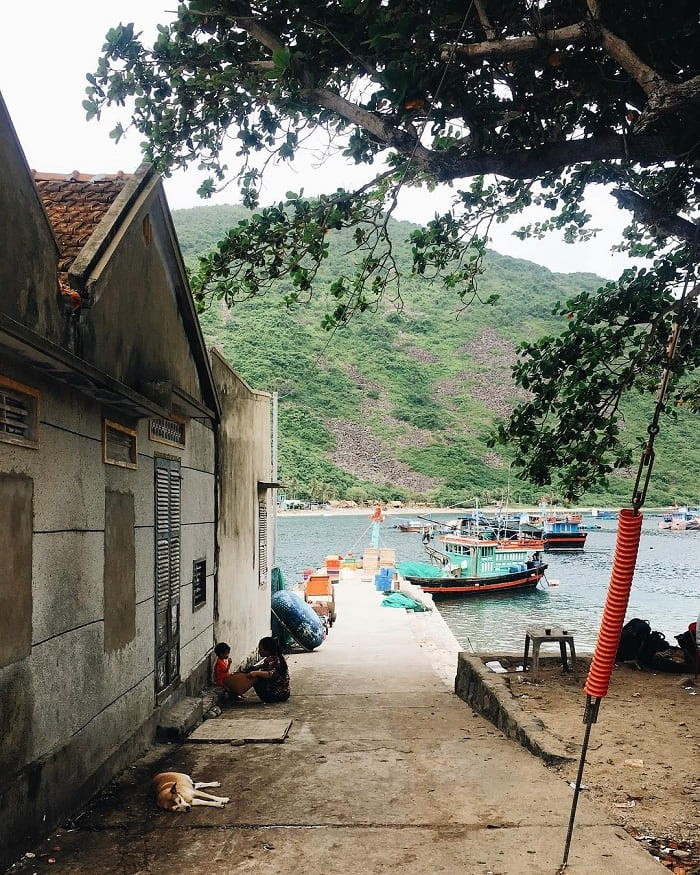 Dù không sầm uất, không tiện nghi như những khu du lịch nổi tiếng, nhưng chính sự mộc mạc và nguyên sơ ấy đã làm nên sức hút rất riêng của đảo Bích Đầm. Ảnh dulich