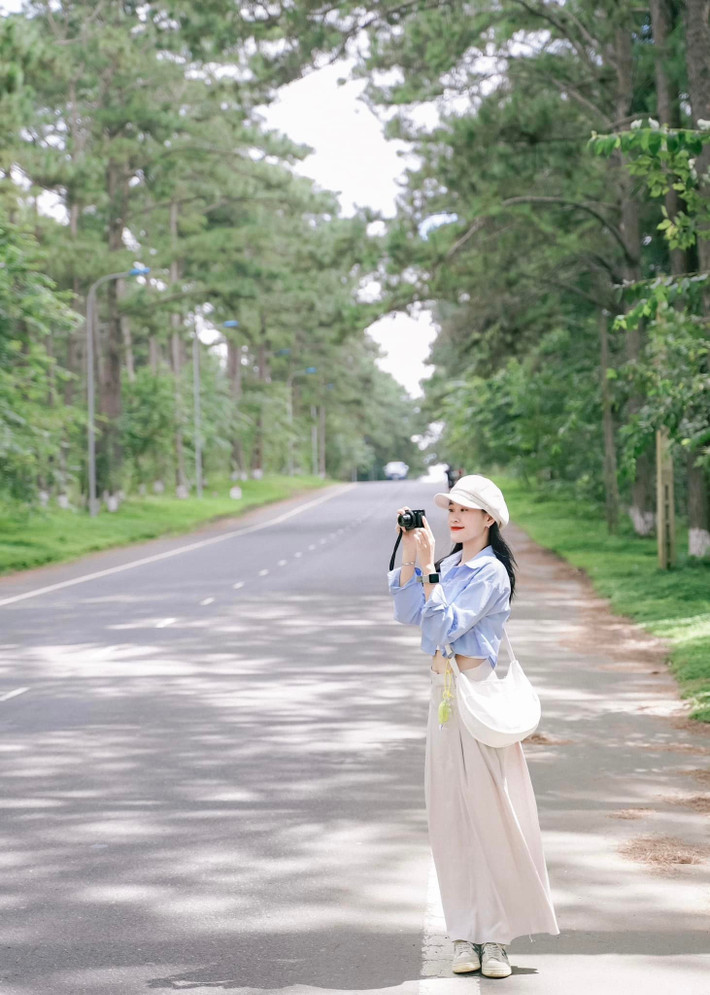 Bên cạnh đó, con đường thông xanh “triệu view” là tọa độ check-in nổi tiếng, đặc biệt vào buổi sáng khi nắng sớm xuyên qua màn sương, tạo nên bức tranh huyền ảo. Ảnh Chuyến đi của Tali