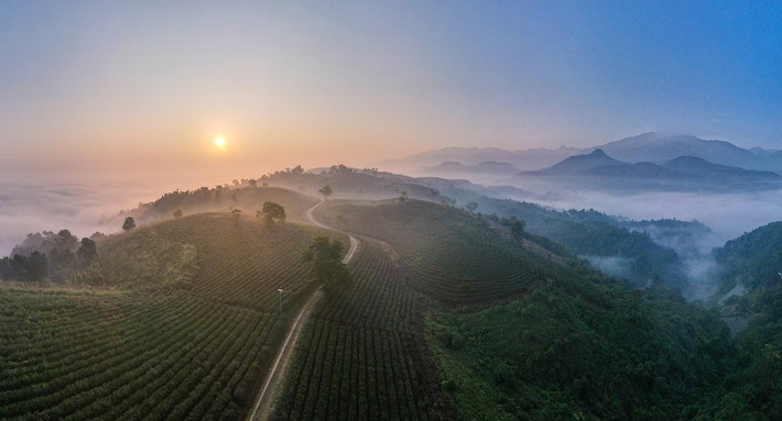 Du khách có thể nhâm nhi trà tại homestay hay quán cà phê nhỏ, vừa tận hưởng không khí trong lành, vừa lưu lại những bức ảnh đẹp khi sương còn vương trên lá chè. Ảnh Ngọc Bằng
