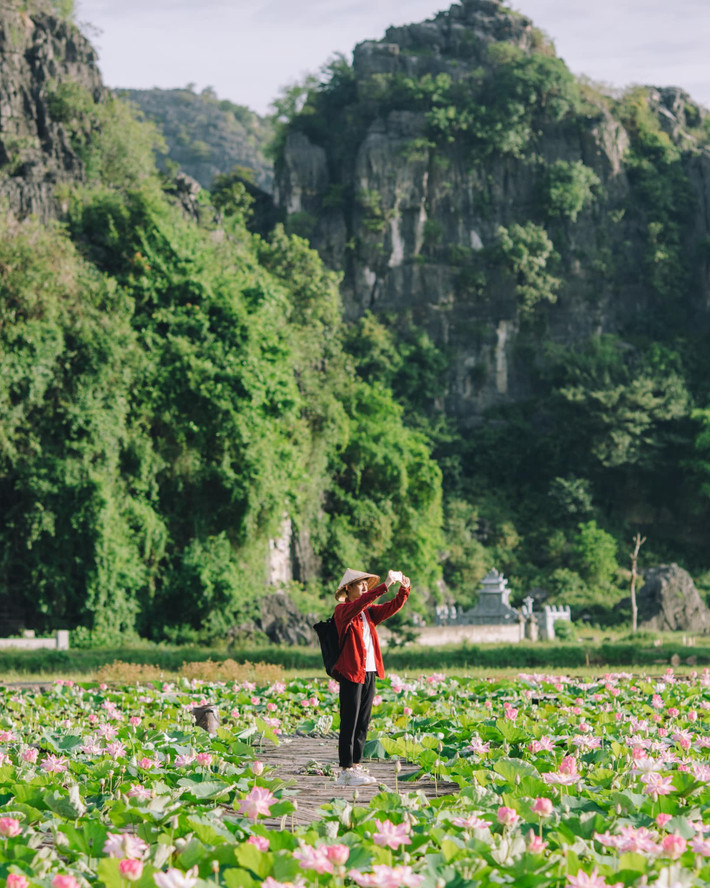Không chỉ dừng ở vẻ đẹp, mùa sen Hang Múa còn mang đến cho du khách nhiều trải nghiệm thú vị: chụp ảnh nghệ thuật, thưởng thức trà sen, hạt sen tươi ngay tại chỗ, hay đơn giản là dạo bộ hít thở hương thơm nhẹ nhàng của hoa giữa không gian núi non thanh bình. Ảnh Bùi Quang Thụy