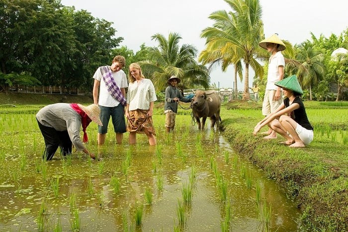 Du lịch cộng đồng ngày càng trở thành xu hướng hấp dẫn với những ai muốn tìm về bản sắc, hòa mình vào nhịp sống địa phương. Không chỉ ngắm cảnh hay nghỉ dưỡng, du khách còn được trải nghiệm văn hóa, ẩm thực và sinh hoạt thường ngày cùng người dân bản địa. Ảnh dulich