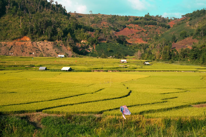 Không quá ồn ào hay đông đúc như những vùng cao nổi tiếng khác, Kon Tu Rằng mang vẻ đẹp hoang sơ, bình dị, nhưng lại đủ sức làm say lòng bất kỳ ai một lần đặt chân đến.
