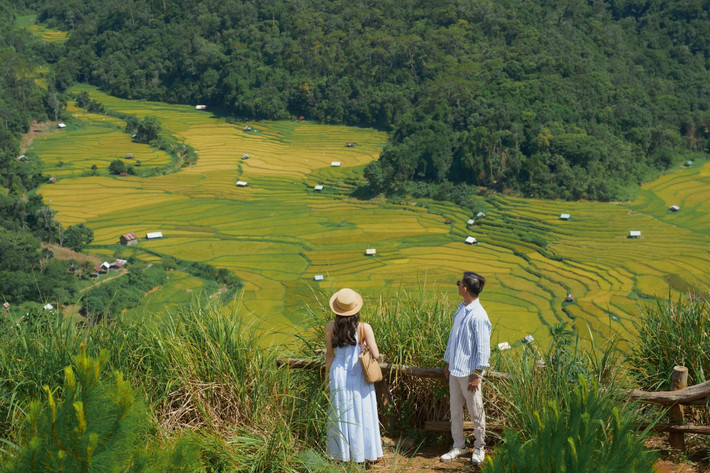 Đặc biệt, ruộng bậc thang ở Kon Tu Rằng không chỉ là nơi canh tác mà còn là di sản văn hóa gắn liền với đời sống của đồng bào dân tộc Xơ Đăng. Những kho lúa nhỏ được dựng ngay giữa cánh đồng – một nét văn hóa truyền thống độc đáo – vừa là nơi cất trữ lúa, vừa mang lại cảm giác gần gũi, chân thực cho du khách khi tham quan. Ảnh Khánh Duy