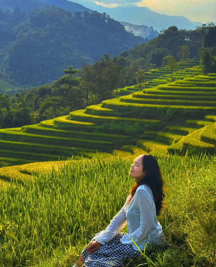 Dưới ánh nắng cuối ngày, ruộng bậc thang lấp lánh tựa từng lớp sóng lúa, mềm mại uốn lượn theo triền núi. Ảnh Fanpage Chuyện của Hậu
