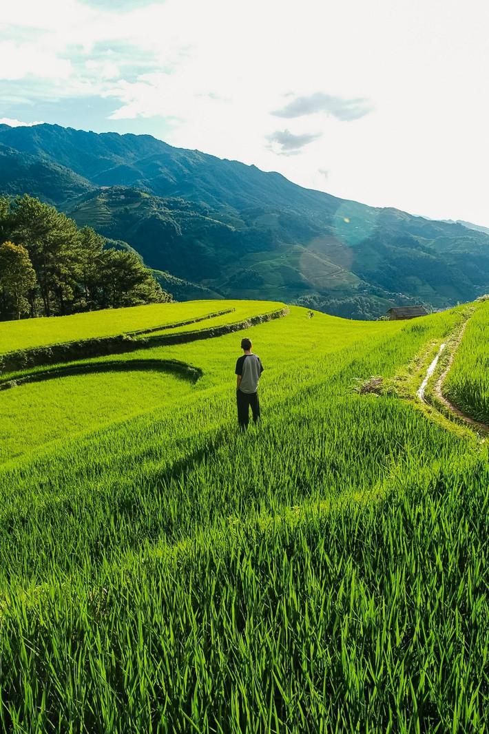 Mù Cang Chải mùa lúa xanh không ồn ào, không rực rỡ như mùa vàng nhưng lại khiến người ta lưu luyến bởi sắc xanh yên bình và sự thân thiện, mộc mạc của người dân bản địa. Đây là lúc đất trời Tây Bắc căng tràn sức sống, dịu dàng và đầy mê hoặc – một vẻ đẹp rất riêng mà chỉ những người yêu xê dịch mới hiểu hết được giá trị. Ảnh Nguyễn Đức Nghĩa