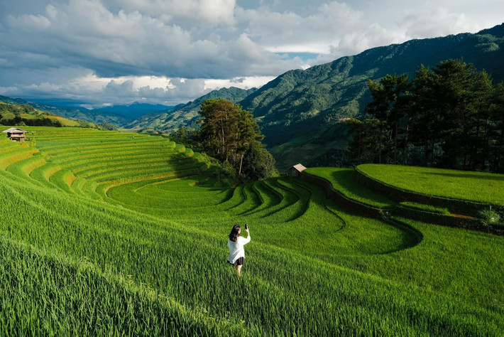 Nếu mùa thu là thời điểm vàng để chiêm ngưỡng những thửa ruộng bậc thang chín vàng ở Mù Cang Chải (Yên Bái), thì mùa hè khoảng tháng 6 đến đầu tháng 8 lại khiến du khách ngỡ ngàng trước khung cảnh bạt ngàn lúa xanh ngút ngàn, mơn mởn sức sống giữa đại ngàn Tây Bắc. Ảnh Ba đứa mình