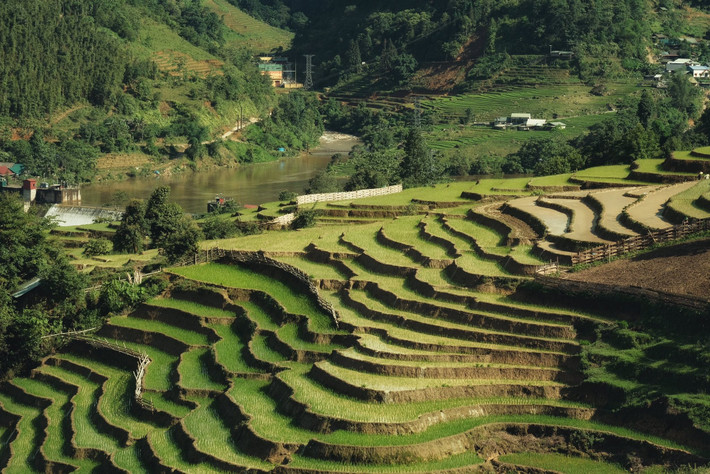 Bên cạnh biển mây, Y Tý mùa này còn rực rỡ bởi ruộng bậc thang mùa đổ ải – mùa người dân dẫn nước về ruộng để chuẩn bị cấy vụ mới. Nước từ các khe suối đầu nguồn được dẫn qua hệ thống mương máng tự nhiên, tràn xuống từng thửa ruộng bậc thang uốn lượn như vân tay. Mặt ruộng loang loáng như gương, phản chiếu mây trời, núi non và cả bóng dáng người nông dân cần mẫn. Cảnh sắc ấy vừa hùng vĩ, vừa thơ mộng, như một bức tranh thủy mặc sống động giữa đại ngàn. Ảnh Phạm Quang Tuyên