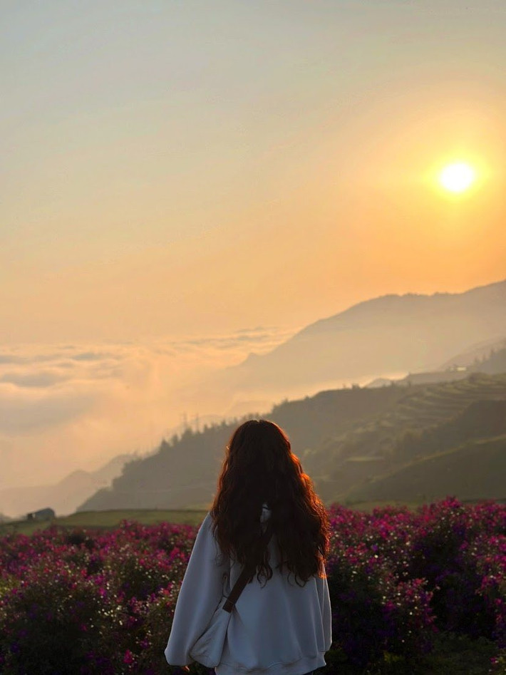 Vào mùa hoa sim, cả sườn đồi được phủ một màu tím dịu dàng, ngọt ngào – là background hoàn hảo cho mọi bức ảnh. Ảnh Internet