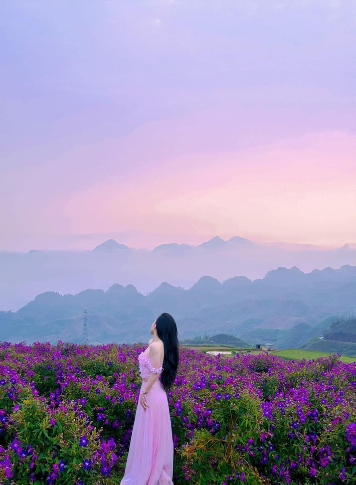 Không đông đúc như các điểm du lịch “quốc dân” khác, Đồi Sim – Săn mây Suối Bon mang đến cảm giác chạm gần hơn với thiên nhiên. Đây là nơi lý tưởng để tổ chức những buổi picnic, cắm trại cuối tuần hoặc đơn giản là tìm về một không gian để hít thở không khí trong lành, nghe tiếng gió rì rào và cảm nhận sự tĩnh lặng trong tâm hồn. Ảnh Internet