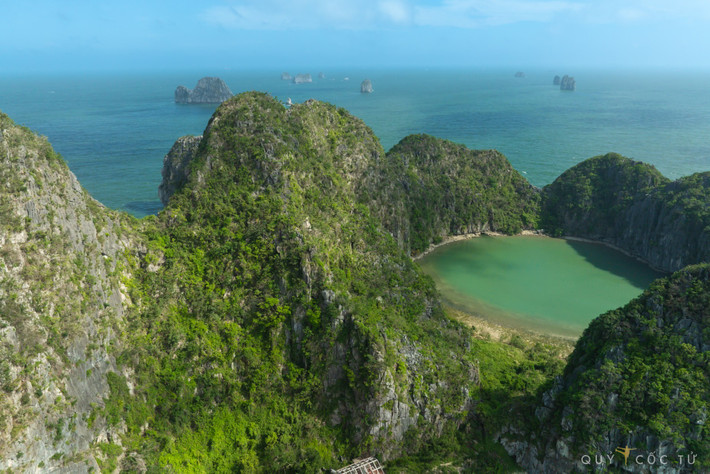 Để chuyến đi thêm phần thuận tiện và trọn vẹn, du khách có thể lựa chọn các tour du lịch chất lượng cao từ các công ty lữ hành uy tín. Saigontourist là một trong những đơn vị được nhiều người tin tưởng với tour Hạ Long – đảo Mắt Rồng kết hợp tham quan các địa danh nổi tiếng như động Thiên Cung, hang Đầu Gỗ và làng chài Cửa Vạn. Tour bao gồm xe đưa đón, hướng dẫn viên chuyên nghiệp, ăn uống và các hoạt động trải nghiệm trên đảo. Giá tour dao động từ 2.000.000 - 12.779.000 đồng/người, tùy thuộc vào loại hình và thời gian lưu trú. Ảnh Ngô Trần Hải An