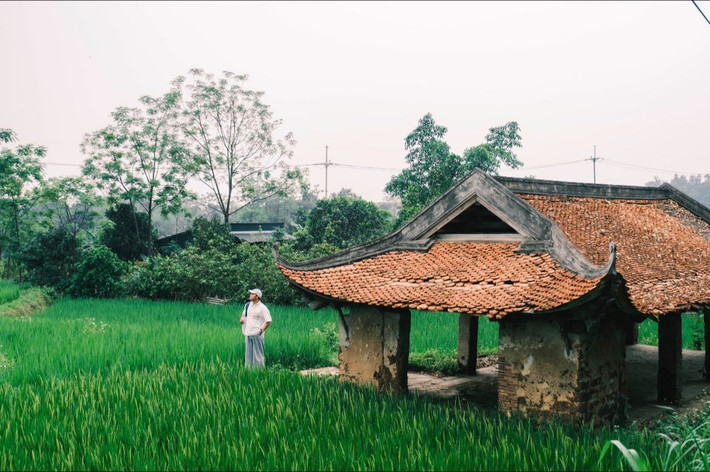 Một trong những điểm níu chân du khách chính là đời sống làng quê nơi đây vẫn giữ được sự mộc mạc. Người dân Đường Lâm thân thiện, cởi mở, nhiều hộ còn mở cửa đón khách vào thăm nhà cổ, thưởng thức trà, trò chuyện hoặc mời ăn bữa cơm quê đơn sơ nhưng đậm đà tình cảm. Ảnh Bùi Ngọc Công
