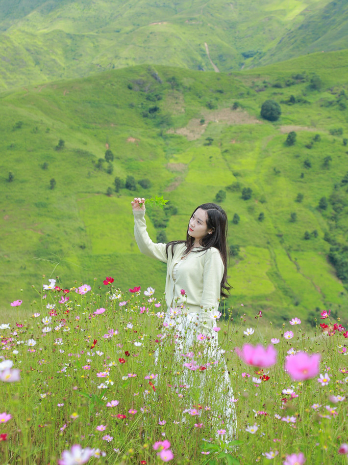 Ruộng bậc thang Xím Vàng mùa lúa chín, tiệm cà phê Hoàng Hôn ở Khe Cải hay Hiên cà phê trên Đỉnh Gió đều là những gợi ý không thể bỏ qua. Thị trấn nhỏ này đang trở thành điểm dừng chân thu hút các nhóm trẻ và gia đình yêu thiên nhiên. Ảnh Đi trốn không