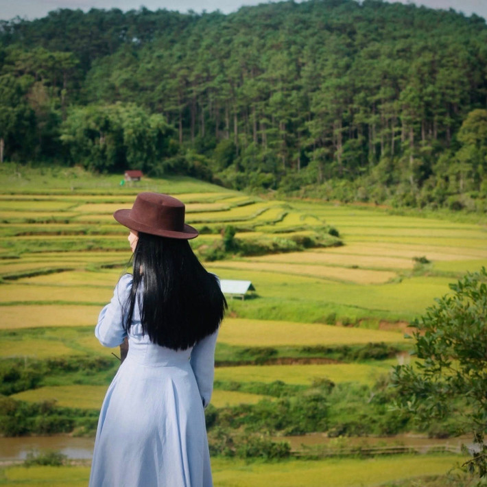 Khi lúa được đưa về nhà, các già làng thường tổ chức lễ cúng Giàng (trời), mừng mùa bội thu và tạ ơn đất rừng. Lễ cúng thường diễn ra ngay sân trước nhà rông, với ché rượu cần, tiếng cồng chiêng và điệu xoang nhịp nhàng. Ảnh Thu Thủy