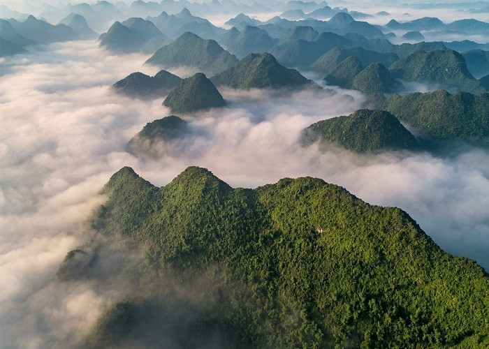 Hiện nay, trên đỉnh Nà Lay đã có một số dịch vụ hỗ trợ cơ bản như cho thuê lều trại, chỗ vệ sinh tạm, người dẫn đường bản địa. Tuy nhiên, nơi đây vẫn giữ được vẻ nguyên sơ, chưa bị thương mại hóa, vì vậy du khách nên chủ động mang theo nước uống, đồ ăn nhẹ, đèn pin và đặc biệt lưu ý không xả rác hay làm hư hại cảnh quan. Ảnh Nguyễn Trọng Cung