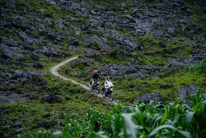 Nằm ở độ cao hơn 1.500m so với mực nước biển, Mã Pí Lèng là một trong tứ đại đỉnh đèo nổi tiếng nhất miền Bắc. Con đường Hạnh Phúc nối thị trấn Đồng Văn với Mèo Vạc uốn lượn qua các vách núi đá dựng đứng, một bên là vực sâu sông Nho Quế, một bên là núi đá tai mèo trập trùng. Toàn bộ đoạn đèo dài gần 20km này được xây dựng chủ yếu bằng sức người, là công trình tiêu biểu cho nghị lực của thanh niên xung phong thập niên 1960. Ảnh Giàng A Phớn