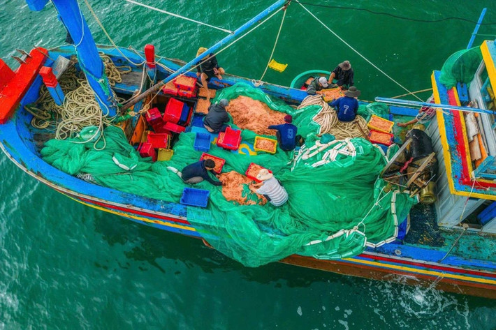 Mỗi sáng sớm, những chiếc thuyền thúng cập bến mang theo cá, mực, ghẹ tươi rói. Du khách có thể ra chợ làng, chọn mua hải sản vừa được đánh bắt với giá phải chăng, hoặc ghé những quán nhỏ ven biển để thưởng thức món ăn chế biến tại chỗ. Ảnh Quan Nguyễn