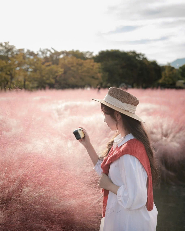 Buổi sáng và chiều muộn được xem là khoảng thời gian lý tưởng nhất để vừa dạo chơi, vừa chụp ảnh khi ánh sáng tự nhiên lên đẹp. Ảnh IG_ mimm_taste