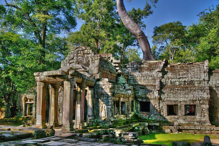 Trong khi đó, đền Ta Prohm lại mang nét đẹp hoang sơ khi những rễ cây cổ thụ khổng lồ vươn mình bao trùm công trình, tạo nên khung cảnh kỳ bí. Nổi tiếng sau khi xuất hiện trong phim Tomb Raider, nơi đây là điểm check-in yêu thích của du khách ưa khám phá. Ảnh Datvietour
