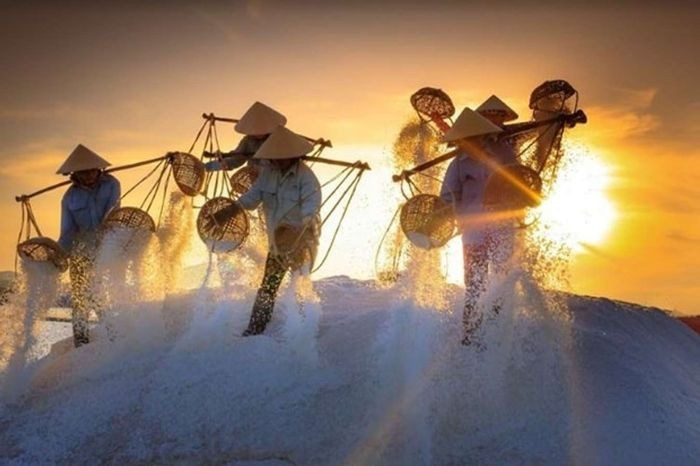 Cánh đồng muối Sa Huỳnh trải rộng trên vùng đất phẳng lặng, tận dụng triệt để nguồn nước biển và ánh nắng gay gắt của miền Trung để làm nên hạt muối trắng tinh. Ảnh luahnhvietnam