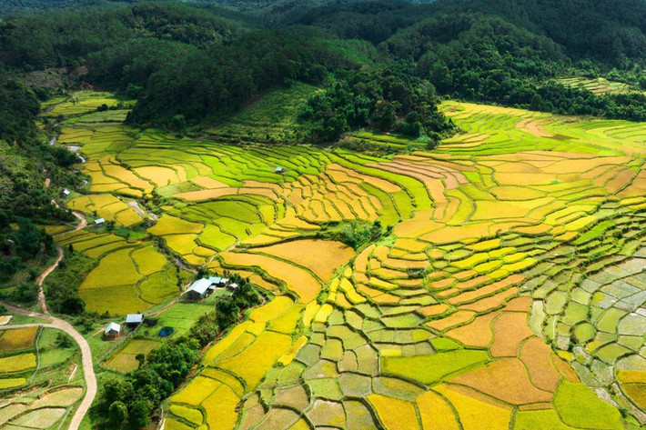 Nhờ sự kết hợp giữa cảnh sắc thiên nhiên, bản sắc văn hóa và kiến trúc kho lúa độc đáo, Kon Tu Ma đang dần trở thành điểm đến hấp dẫn trong hành trình khám phá Măng Đen, mang lại cho du khách những trải nghiệm khó quên. Ảnh NB