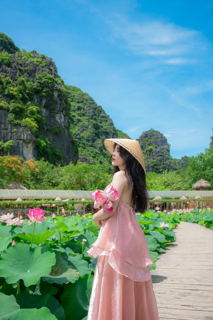 Khi du lịch mùa sen ở Hang Múa, du khách nên lưu ý thời điểm sen nở đẹp nhất là từ 5h30 – 9h00 sáng hoặc sau 16h00 chiều. Vé vào khu du lịch khoảng 100.000 đồng/người. Ảnh An Phạm