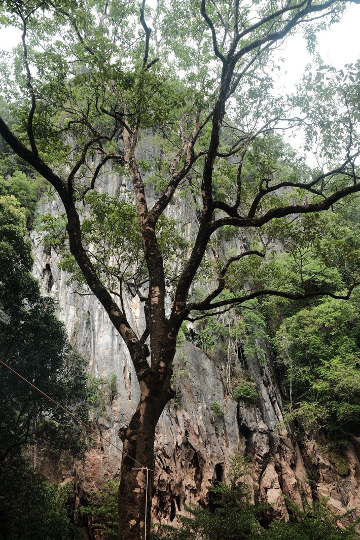 Trekking Hang E là lựa chọn thú vị cho những ai muốn “đổi gió” khỏi các tour du lịch quen thuộc. Không quá mạo hiểm, không quá tốn kém, hành trình này đủ để đưa du khách chạm đến vẻ đẹp tự nhiên hiếm có và nạp đầy năng lượng tích cực giữa mùa hè. Ảnh Thu Huệ