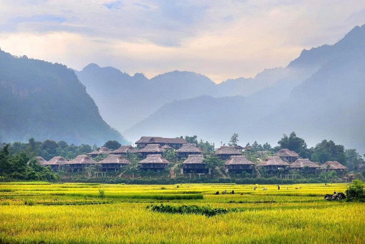 Du khách có thể nghỉ tại các bản như Pom Coọng, Lác, Noong Luông, trải nghiệm ẩm thực dân tộc, đạp xe qua cánh đồng hoặc ngồi bên bếp lửa nghe dân ca Thái. Mai Châu phù hợp với nhóm bạn trẻ muốn "đi trốn" khỏi đô thị, hoặc những cặp đôi tìm nơi lãng mạn, ít ồn ào. Ảnh Duhy