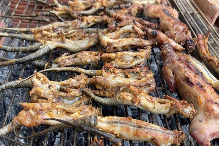Rắn mối sau khi được làm sạch, bỏ ruột, lột da hoặc để nguyên con sẽ được chế biến thành nhiều món ăn hấp dẫn, trong đó phổ biến nhất là rắn mối nướng muối ớt. Thịt rắn được ướp muối ớt đậm đà, xiên que rồi nướng trên than hồng cho đến khi da cháy sém, mỡ chảy xèo xèo, dậy lên mùi thơm khó cưỡng. Khi ăn, chấm kèm muối tiêu chanh hoặc nước mắm me chua ngọt, tạo nên hương vị “hết sẩy”. Ảnh Internet