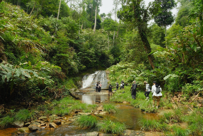 Cung đường trekking từ trung tâm xã Y Tý đi A Lù, Ngải Thầu Thượng, Lao Chải hay thác Ngải Trồ không quá dài hay dốc, phù hợp với cả người mới bắt đầu. Ảnh Phạm Quang Tuyên