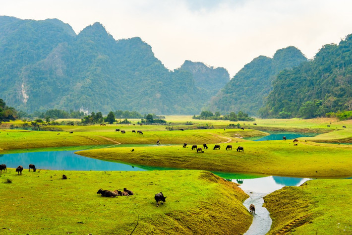 AT Travel có tour trong ngày cho nhóm nhỏ, khởi hành cuối tuần, gồm bữa trưa đặc sản, chèo bè tre, chụp ảnh giữa hồ. Giá từ 890.000 đồng/người. Lửa Việt tổ chức tour trải nghiệm kỹ năng sinh tồn và giao lưu với người Tày, Dao quanh Đồng Lâm. Ảnh Traveloka