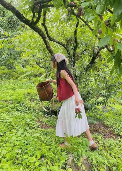 Nếu đi theo nhóm đông hoặc muốn tổ chức picnic, hãy liên hệ trước với chủ vườn để được hỗ trợ. Đừng quên mua vài ký mận tươi mang về làm quà – vừa ngon, vừa đậm đà hương vị vùng cao. Ảnh Tẹt minh du ký
