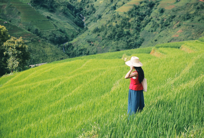 PYS Travel giới thiệu tour “Tây Bắc mùa xanh” kết hợp Xím Vàng và Tà Xùa, lý tưởng cho du khách trẻ yêu thiên nhiên, thích săn mây, sống chậm và chụp ảnh. Travelogy Vietnam cũng thiết kế tour riêng theo nhóm nhỏ, đưa du khách trải nghiệm trọn vẹn văn hóa bản địa với các hoạt động làm đồng, thêu tay và nấu ăn cùng người Mông. Ảnh Diệp Hữu Đạt