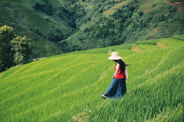 Để phục vụ nhu cầu du lịch ngày càng tăng, một số công ty lữ hành đã bắt đầu đưa Xím Vàng vào hành trình khám phá Tây Bắc mùa hè. Vietravel tổ chức tour “Sơn La – Bắc Yên – Xím Vàng 3N2Đ” với xe đưa đón, lưu trú tại nhà sàn và các hoạt động giao lưu văn hóa địa phương. Ảnh Diệp Hữu Đạt