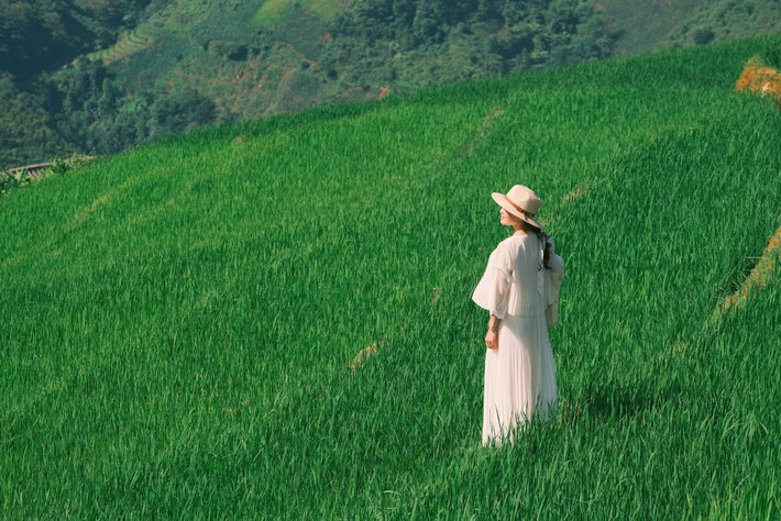 Lưu trú ở Xím Vàng hiện nay chủ yếu là dạng homestay cộng đồng. Mỗi nhà có thể tiếp được 6–10 khách, điều kiện cơ bản nhưng sạch sẽ, ấm cúng và đặc biệt là có những bữa cơm nóng hổi với rau rừng, thịt treo, mèn mén, canh bí nấu xương và rượu ngô thơm lừng. Những bữa ăn như vậy không chỉ ngon miệng mà còn là cách để du khách cảm nhận hương vị núi rừng một cách chân thực nhất. Ảnh Diệp Hữu Đạt