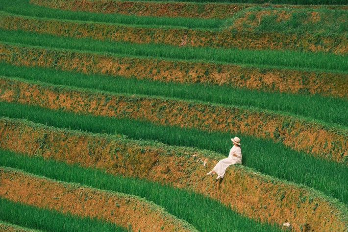 Vào buổi sáng sớm, khi sương còn phủ trắng mái nhà, du khách có thể theo chân bà con ra đồng, quan sát cách họ làm cỏ, chăm mạ – những công việc lặp đi lặp lại mỗi năm nhưng vẫn đầy yêu thương và kiên nhẫn. Ảnh Diệp Hữu Đạt