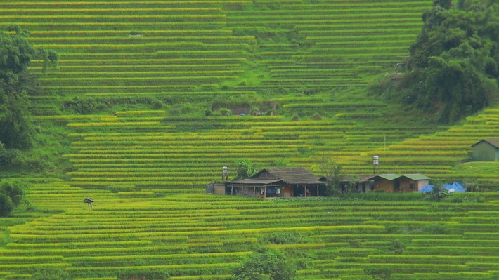 Bản Lao Chải mang vẻ đẹp nên thơ, bình yên giữa núi rừng Sapa, khiến bất kỳ ai một lần đặt chân tới đều lưu luyến không rời. Ảnh Đỗ Vũ