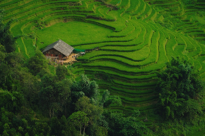 Nhiều gia đình mở cửa đón khách ghé thăm, thưởng thức ẩm thực địa phương như thắng cố, gà đen nướng, rượu ngô… tạo nên trải nghiệm trọn vẹn cả về thị giác lẫn vị giác. Ảnh Tuyên Parafu