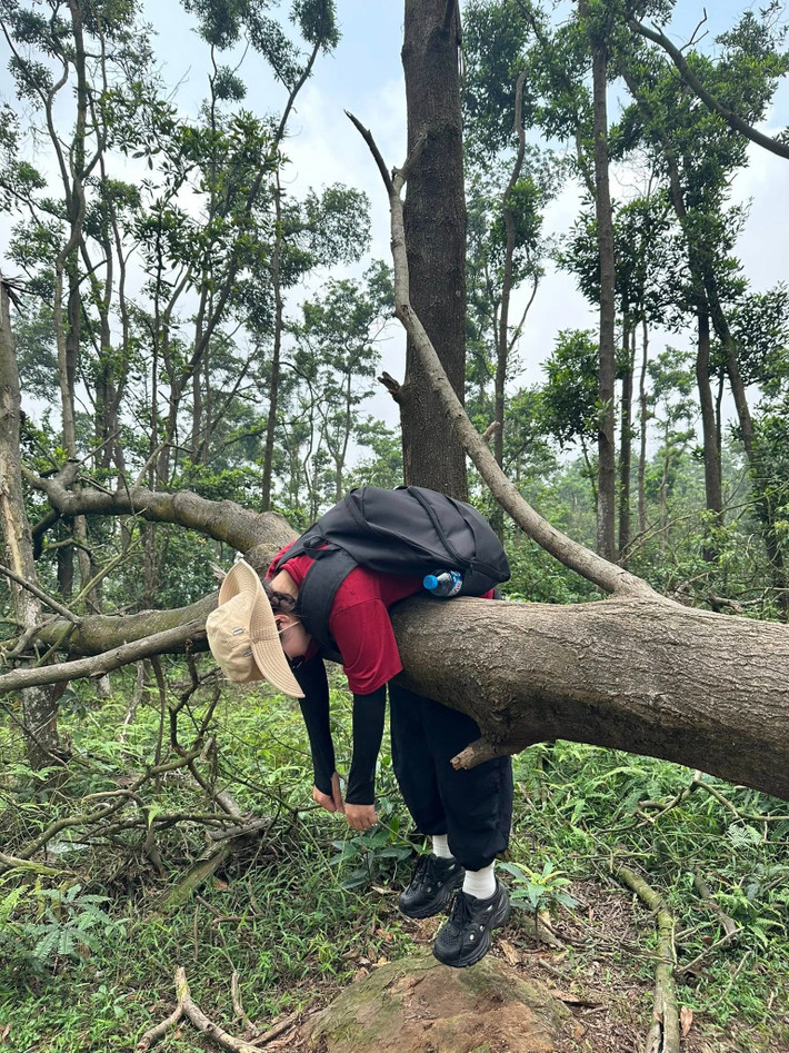 Với thời tiết mát mẻ quanh năm, đặc biệt vào mùa hè, nơi đây là lựa chọn lý tưởng để “đi trốn” khỏi cái oi bức thành thị. Các nhóm bạn trẻ thường chọn cuối tuần để cùng nhau cắm trại, vừa thư giãn, vừa tăng sự gắn kết. Ảnh Trần Hằng