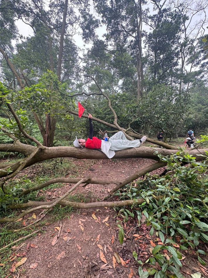 Hãy thử một lần rời xa phố xá, xách balo lên và trekking tới “nóc nhà Thủ đô” – để khám phá một Hà Nội khác, xanh hơn, yên bình hơn và đáng nhớ hơn. Ảnh Trần Hằng