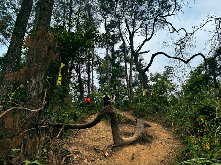 Chặng đường trekking từ chân núi lên tới đỉnh kéo dài khoảng 2–3 tiếng, tùy thể lực và cung đường bạn chọn. Có hai cung đường phổ biến: Cung dễ: đi theo đường mòn có sẵn, tương đối bằng phẳng, thích hợp cho người mới bắt đầu hoặc đi theo nhóm đông. xemptyzCung khó: đi xuyên rừng rậm, băng suối, vượt dốc đá – thích hợp với người ưa mạo hiểm, muốn thử thách bản thân. Ảnh Ngọc Dũng