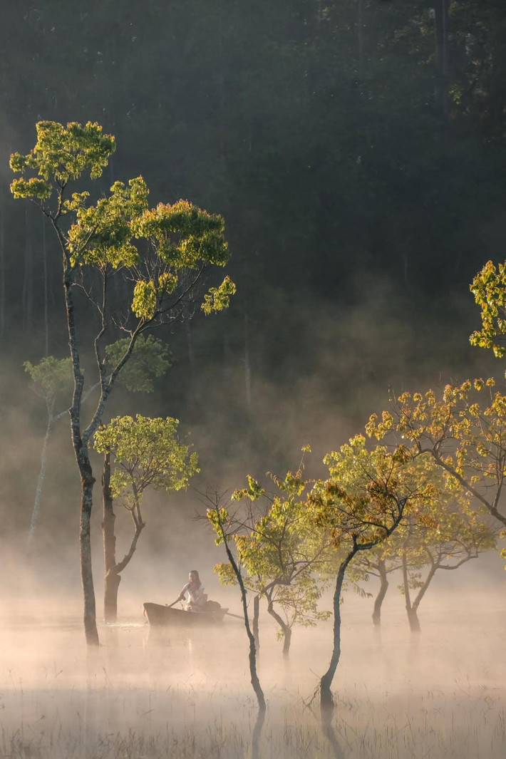 Nhiều công ty lữ hành tại Đà Lạt đã bắt đầu đưa Suối Tía vào lịch trình “săn mây và đón sương” kết hợp với các điểm đến như Trại Mát, đồi chè Cầu Đất, chùa Linh Phước. Tour thường khởi hành lúc 4h30 sáng, bao gồm xe đưa đón, hướng dẫn viên và dịch vụ chụp ảnh chuyên nghiệp. Giá dao động từ 400.000–600.000 đồng/người, phù hợp với nhóm bạn trẻ hoặc cặp đôi yêu thích khám phá thiên nhiên. Ảnh Diễm Quỳnh