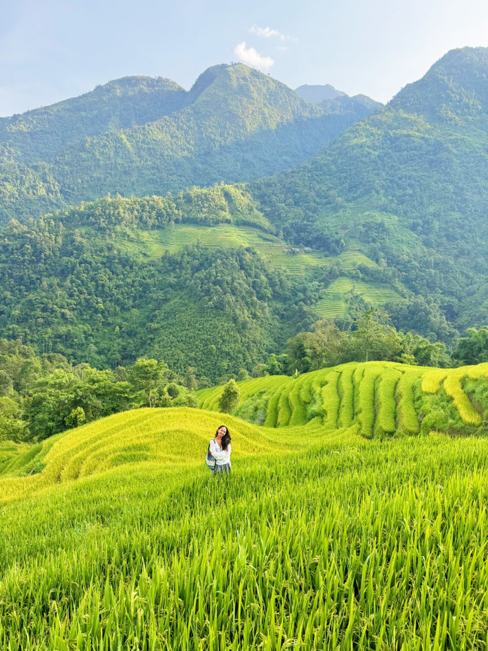 Không gian tĩnh lặng, chỉ còn lại tiếng gió thổi và hương lúa thoang thoảng. Với những ai mê nhiếp ảnh, đây là thời điểm “vàng” để lưu giữ những khung hình đẹp nhất về mùa lúa Sa Pa. Ảnh Fanpage Chuyện của Hậu