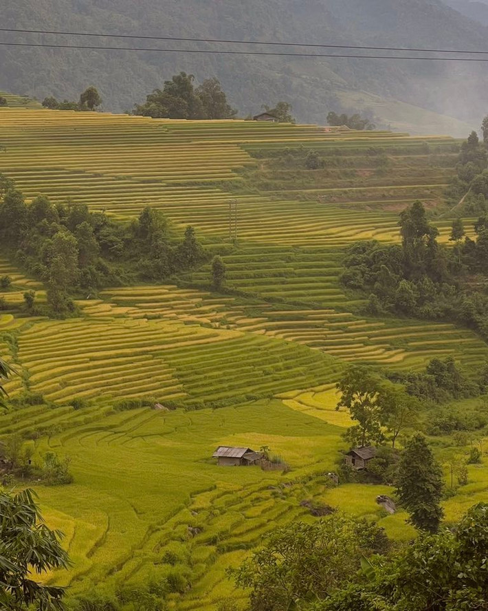 Không chỉ hút giới trẻ mê “sống ảo”, Nậm Cang còn là nơi lý tưởng để nghỉ dưỡng, trekking hoặc trải nghiệm cuộc sống bản địa. Ảnh Đỗ Vân Anh