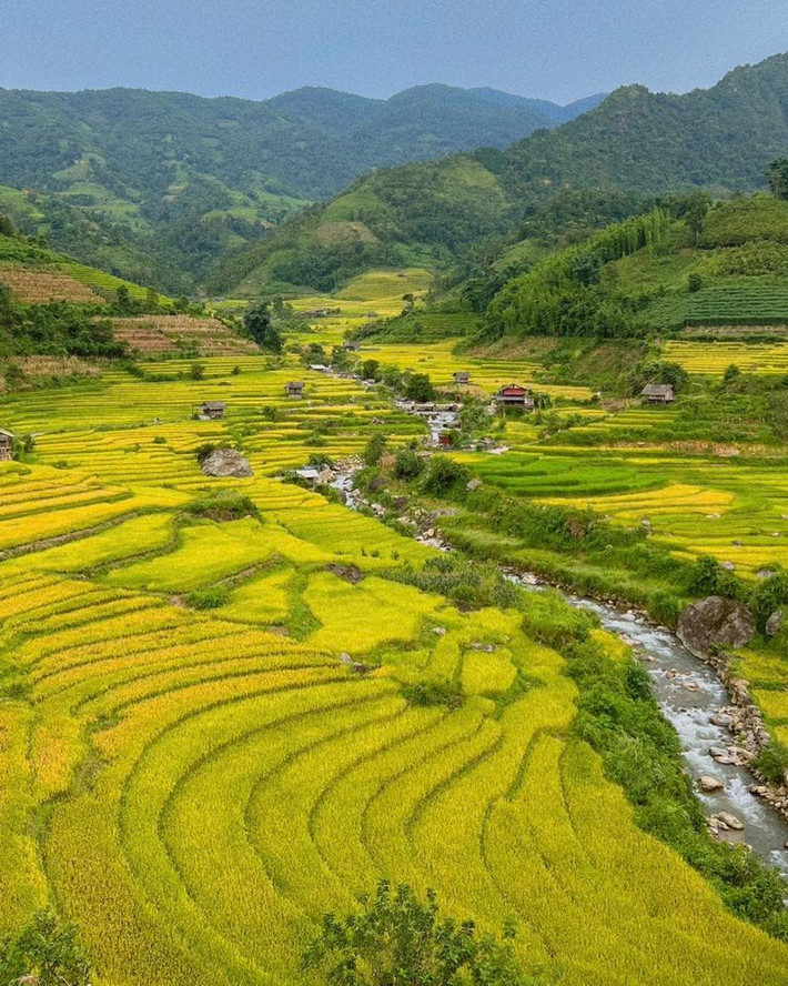 Đặc biệt, nhiều bạn trẻ còn chọn Nậm Cang làm điểm cắm trại, săn ảnh bình minh giữa lúa vàng, hay ghi lại khoảnh khắc hoàng hôn buông xuống thung lũng – những trải nghiệm mang đậm chất “chữa lành” cho tâm hồn. Ảnh Đỗ Vân Anh