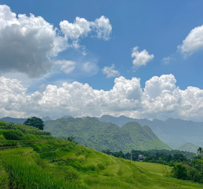 Nếu du khách muốn một chuyến đi thuận tiện và dễ dàng khám phá Pù Luông, các tour du lịch trọn gói là một lựa chọn lý tưởng. Hiện nay, nhiều công ty du lịch uy tín đang cung cấp các tour đến Pù Luông, giúp du khách tham quan các điểm nổi bật mà không phải lo lắng về việc lên lịch trình hay tìm kiếm dịch vụ. Ảnh Văn Phong